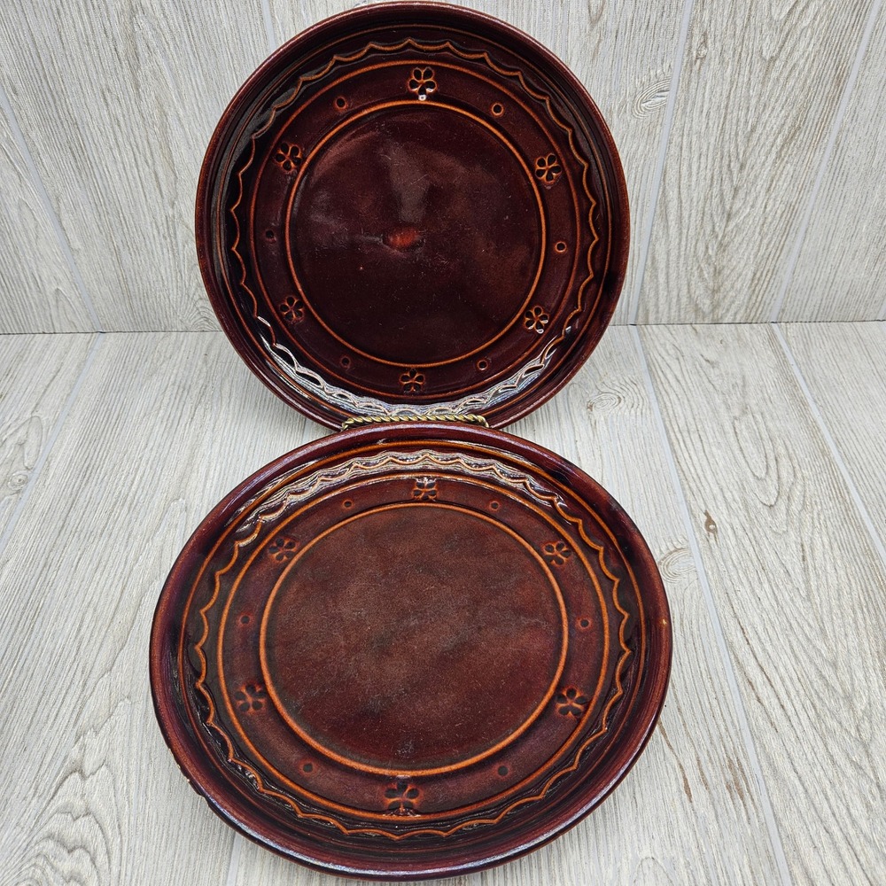 Mar-Crest Daisy and Dot Stoneware Dinner Plates Colorado Brown Set of 2 USA
